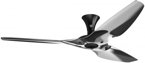Ceiling Fans